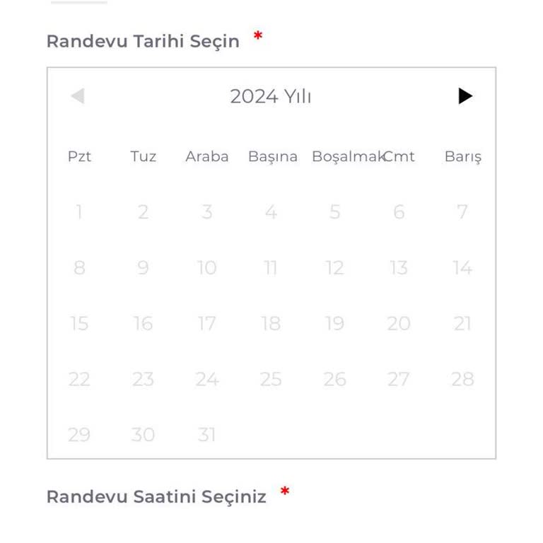 Kosmos Vize Hizmetleri Kosmos Vize Randevu Alamama
