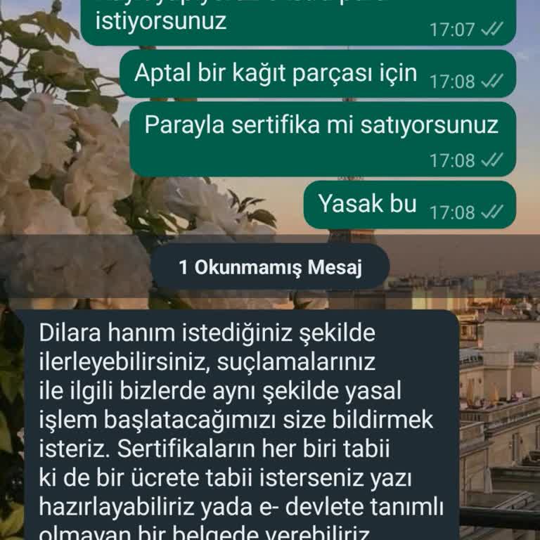 Amerikan Kültür Yabancı Dil Kursları Beşiktaş Amerikan Kültür