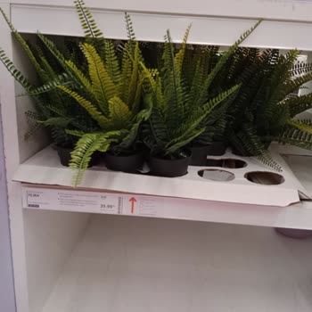 IKEA Raftaki Fiyat İle Kasadaki Fiyat Birbirini Tutmuyor