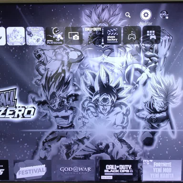 PHILIPS TV Video Formatı Desteklenmiyor