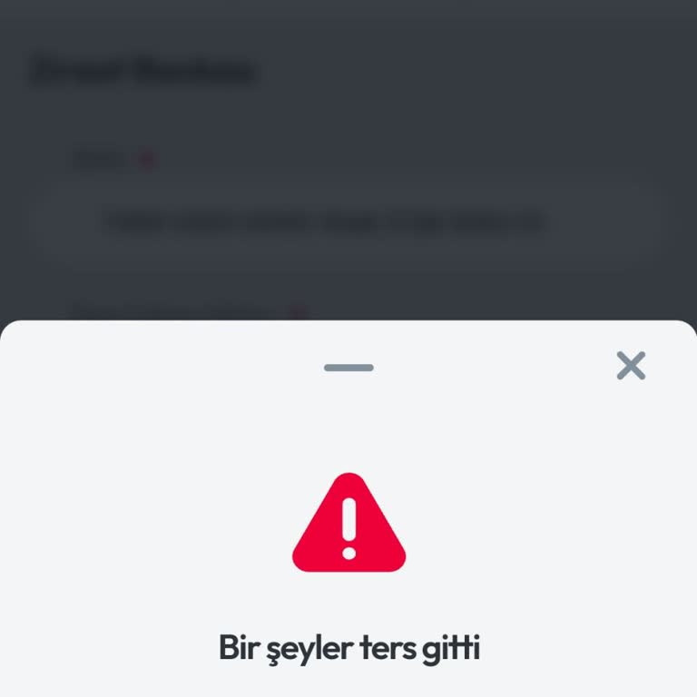 Zlot Çekim Hatası Veriyor