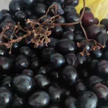 Şok Marketler Eksik Ve Hatalı Ürün