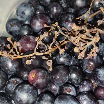 Şok Marketler Eksik Ve Hatalı Ürün