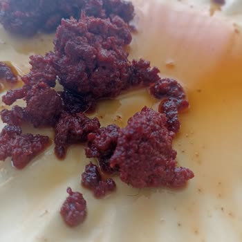 Danacı Et ve Et Ürünleri Kayseri Zirve Evlik