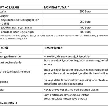 Sunexpress'in İptallerle Yolcularını Mağdur Etmesi Ve Muhatap Olmaması