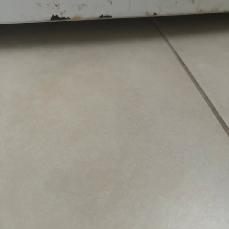 Siemens Teknik Servis (444 70 76) Yeni Buzdolabında Paslanma Ve Buzlanma Sorunları