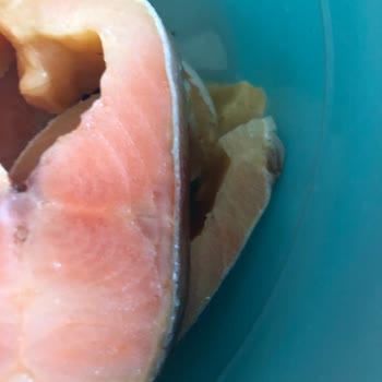 Özdilek AVM Fish Fish Kayıkçı Donmuş Somon