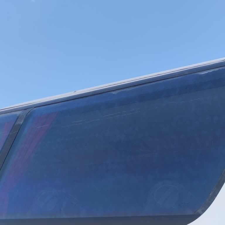 Güdül Sorgun Göletinde Otobüs Geçişlerini Engelleyen Ağaç Dalları