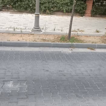 İBB - İstanbul Büyükşehir Belediyesi Büyükçekmece Belediyesinden Kasis Talebi