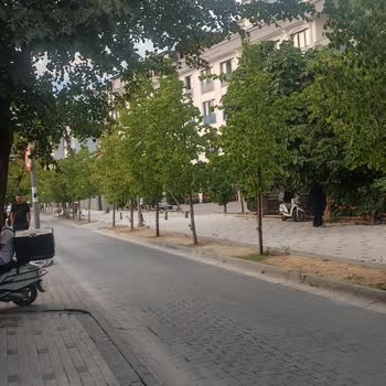 İBB - İstanbul Büyükşehir Belediyesi Büyükçekmece Belediyesinden Kasis Talebi
