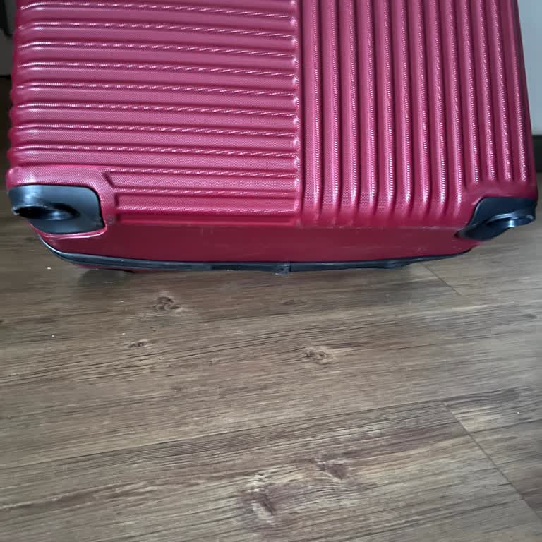 Pegasus Havayolları Bagaj Kaybı