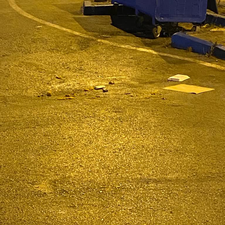 İBB - İstanbul Büyükşehir Belediyesi Çöp Alan Çöp Kamyonunun Etrafa Dökülen Çöpleri Almaması