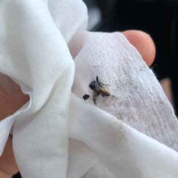 Муху в йогурте Danone, здоровье моей дочери в опасности!