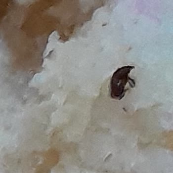 İBB - İstanbul Büyükşehir Belediyesi Halk Ekmek Şoku