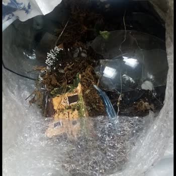 Aras Kargo Kırık Ürün Teslim Etti