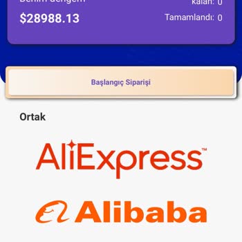 Alibaba Görev Tamamlama Sonrası Yaşanan Sorunlar Ve Hesap Erişimi