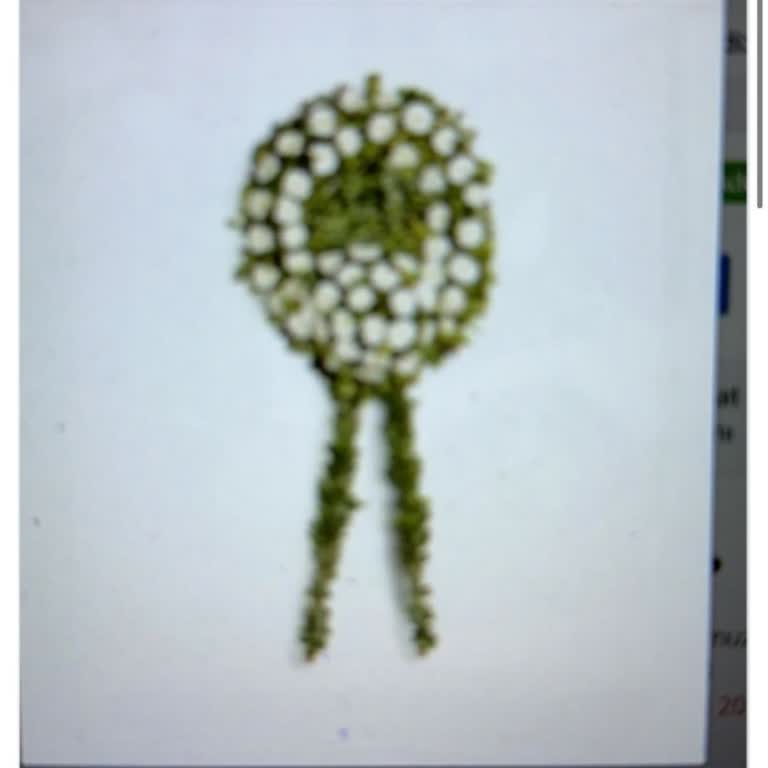 Çiçek Sepeti Sahte Resim Onayı Gönderip, Mağdur Eden Bir Firma