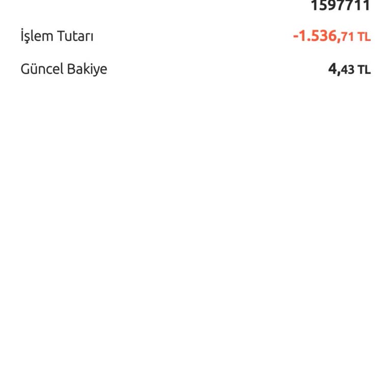 MoneyPay IBAN'dan Atılan Para