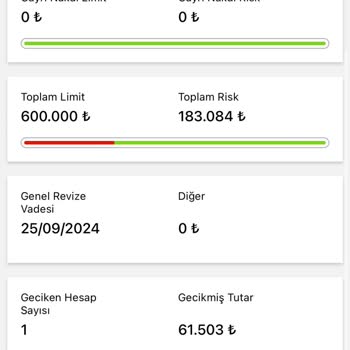 Koçfinans Koç Fiat Finansman Gününde Ödenen Krediyi Gecikmede Göstermekte