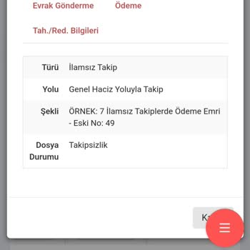 Birikim Varlık Yönetim Varlığa Olan Borcumun Silinmesi