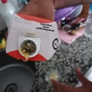 Cappy (sözde) Meyve Suyu