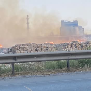 Vivense Dragon Koltuk Mekanizma Koptu