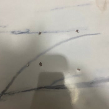 Cosar Group Masa Sandalye Takımı