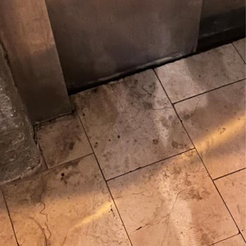 Jolly Tur Ve Jura Bodrum Resort Pişmanlıktır Net