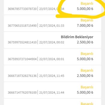 Holigan Bet Kasayı Boşaltıyor