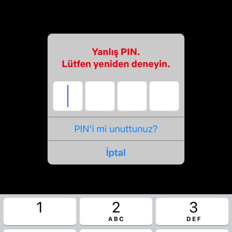 Netflix Pin Sorunu Pin