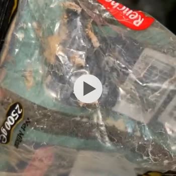 Rençber Bakliyat Pirinçte Kurtçuk Arkadaşlar