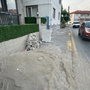 Agdaş'ın Bahçeme Verdiği Zarar