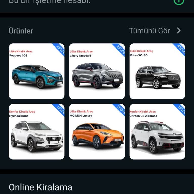 İnterprise. Vip Araç Kiralamadan Uzak Şirket