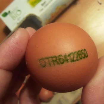 Tire Organik Gıda Ürünleri Migros'tan Mlife Bio Organik Yumurta Bozuk Çıktı