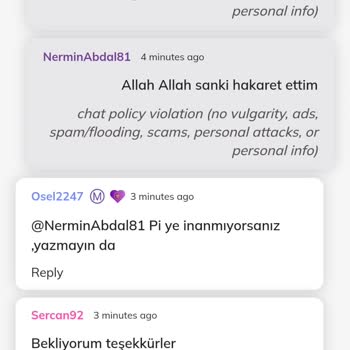 Pi Network Sadece Yorum Yaptım