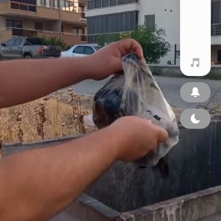 Şehmus Midyecilik Bozuk Ürün Sıkıntısı