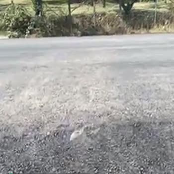 Kartepe Belediyesi Yol Sorunu!