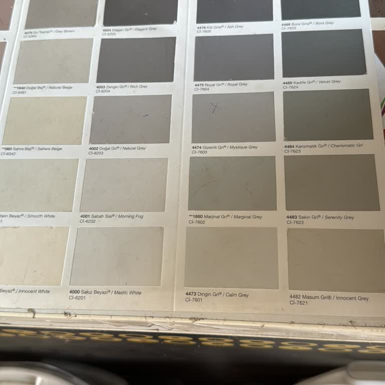 Polisan Çarşıdan Aldık Dingin Gri Eve Geldik Lila