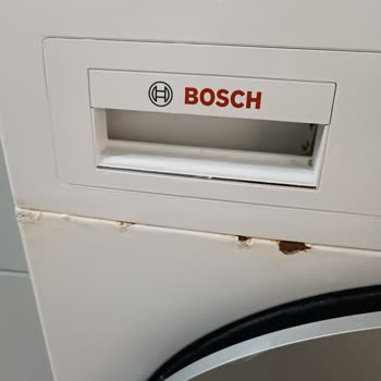 Bosch Termoteknoloji Bosch Çamaşır Makinesi Pişmanlığı Devam Ediyor