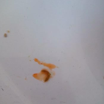 BİM Bol Bol Ketçapta Kurt Çıktı