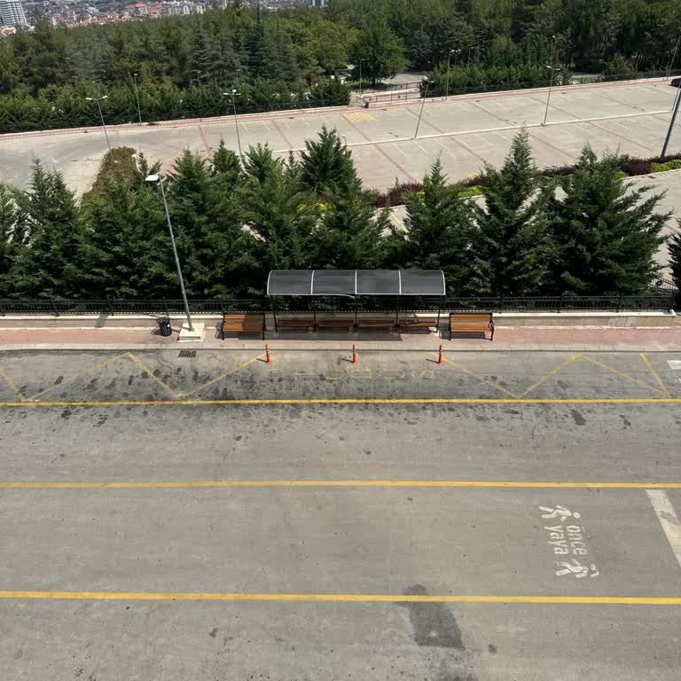 Sürat Kargo Çamlık Şubesi Kargo Dışı Alan