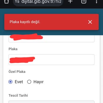E-Devlet (Turkiye.gov.tr) Trafik Cezasını Ödeyemiyorum