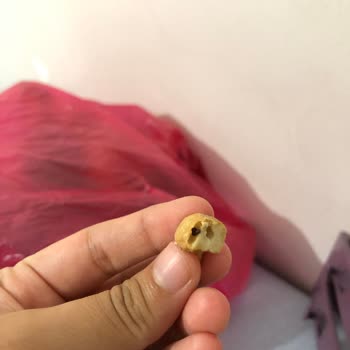 Gold Harvest Kuruyemiş Yemeksepeti Siparişimde Master Nut Markasının Böcekli Çıkması