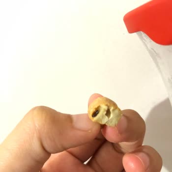 Gold Harvest Kuruyemiş Yemeksepeti Siparişimde Master Nut Markasının Böcekli Çıkması