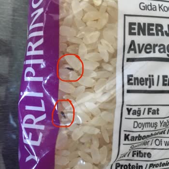 Migros’tan Aldığım Yayla Marka Böcekli Pirinç