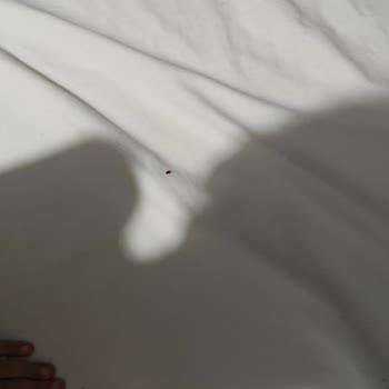 Grand Gold Beach Hotel Pis Ve Bitli Otel