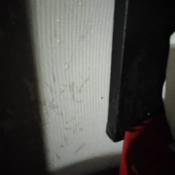 Grand Gold Beach Hotel Pis Ve Bitli Otel