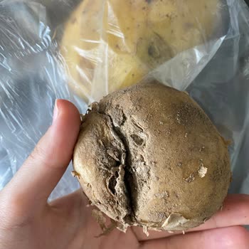 Migros Hemen Bozuk Sebze Meyve
