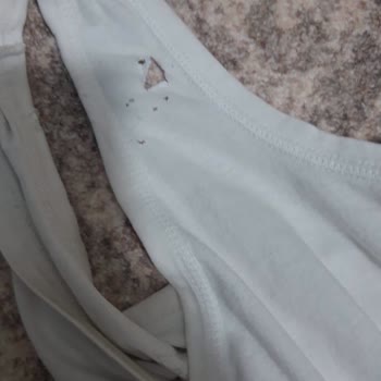 Bosch Tamamen Hayal Kırıklığı