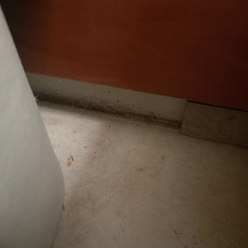 Petunya Beach Resort Kalitesiz Hizmet